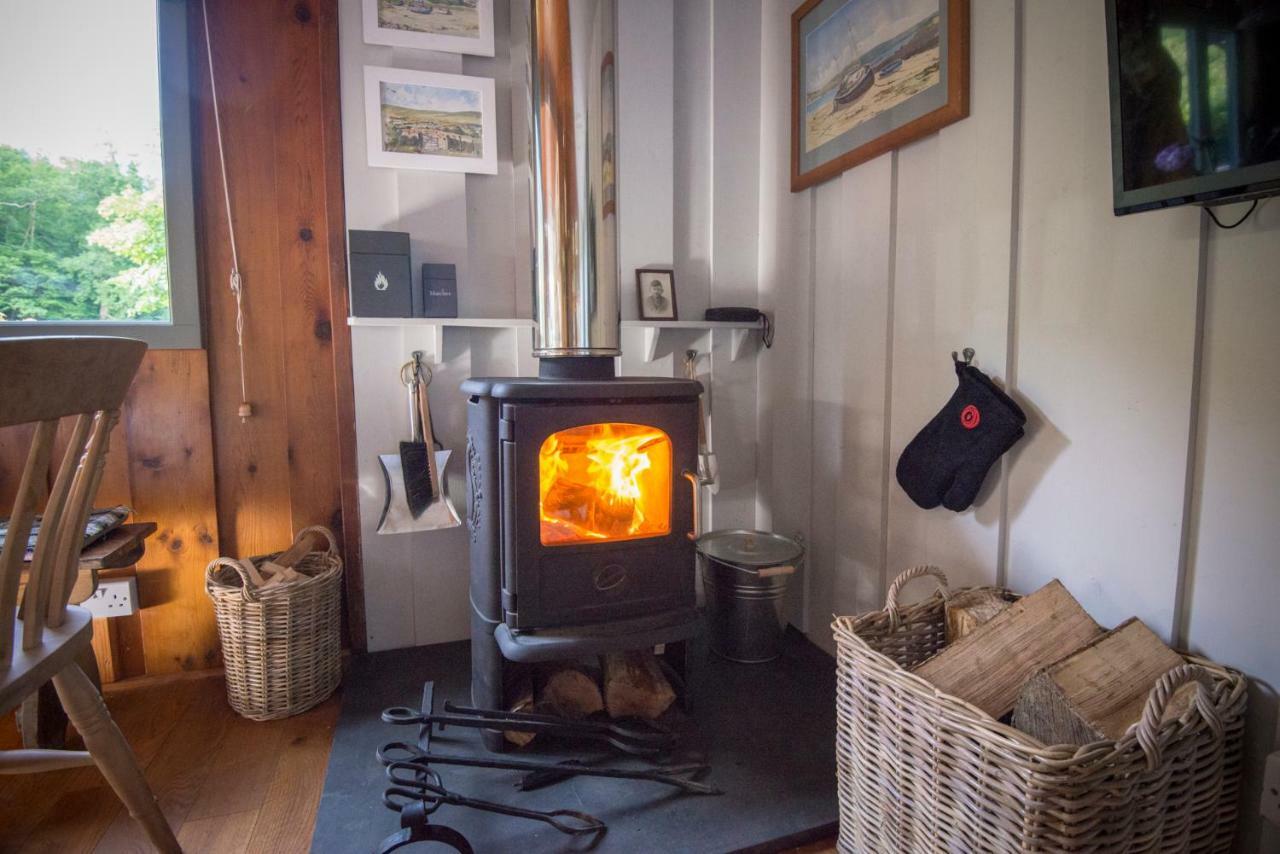 Little Kestrel Cabin Pennal Екстериор снимка